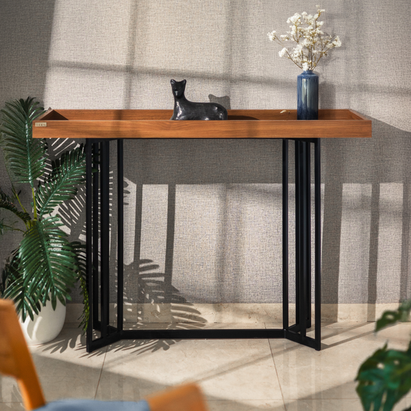 Console d’entrée EVA